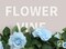 5Pcs 32.5FT Blue Rose Garland Fake Flower Vines Faux Artificial Floral Garland Hanging Rose Ivy for Wedding Arch Garden Ceremony Background Valentine's Day Outdoor Wall Decor